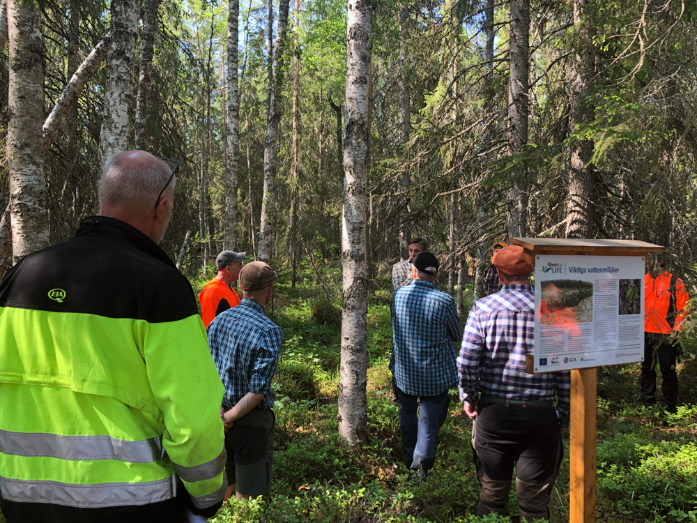 Personer som står ute i skogen